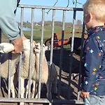 Uniek - Nabij Molen, Meer, & Stad' Dom wakacyjny *